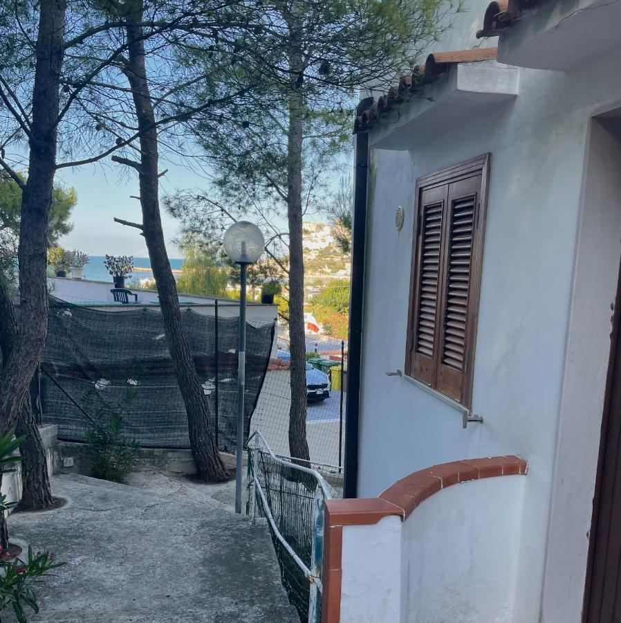 Residence Montepucci Пешичи Екстериор снимка